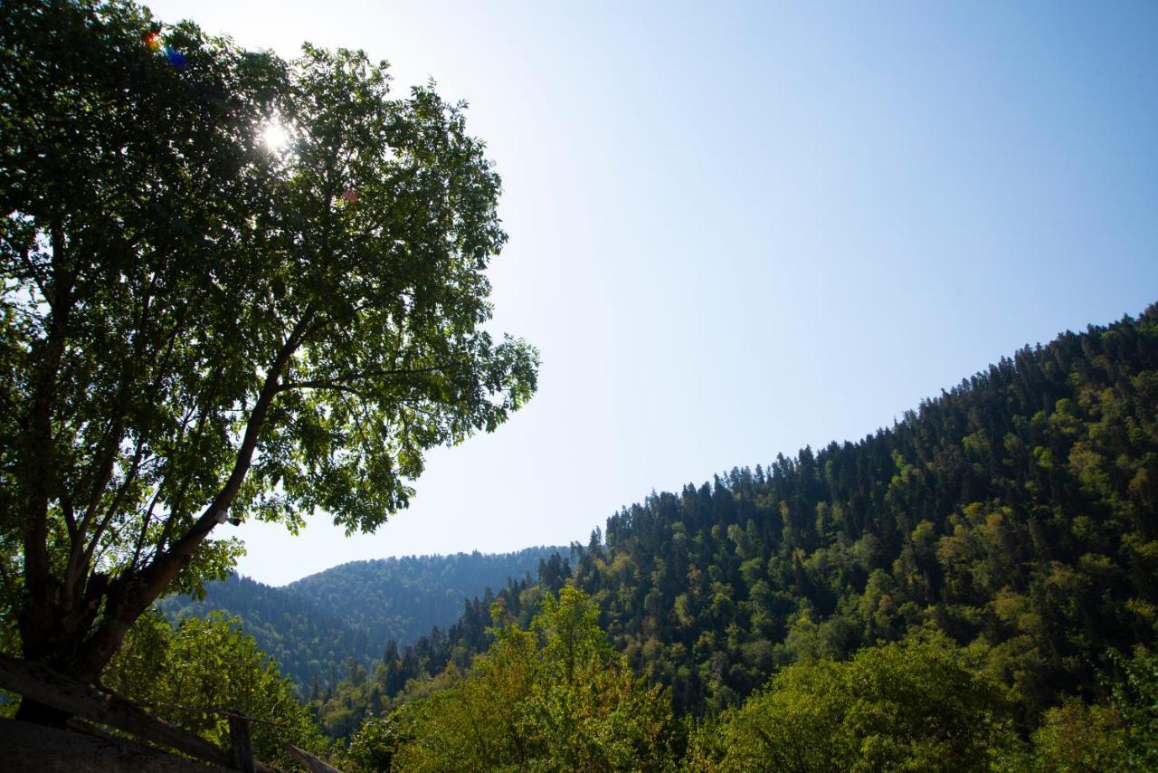 Landhaus Borjomi Exterior photo