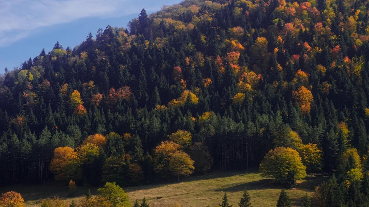 Landhaus Borjomi Exterior photo