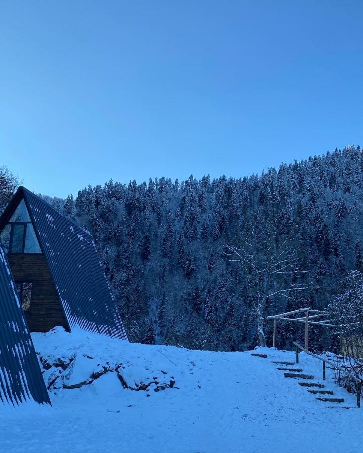 Landhaus Borjomi Exterior photo